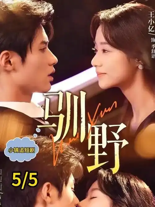 丧尸美剧《行尸走肉》海报